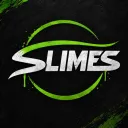 Sl1mes