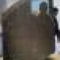 Profile picture for user TheSpectator