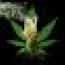 Profile picture for user MagOr.frEE