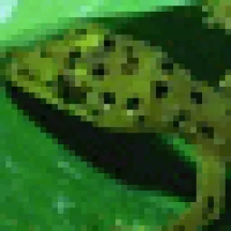 Profile picture for user plazec