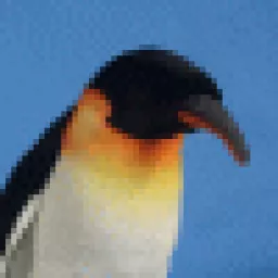Profile picture for user PenguinCZE