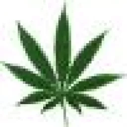 Profile picture for user CannabisnN