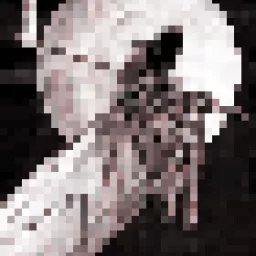 Profile picture for user reaper_666