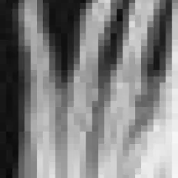 Profile picture for user shumak