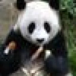 Profile picture for user Marksman Panda