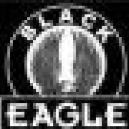 Profile picture for user Black_Eagle