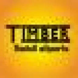 Profile picture for user TimberCZ
