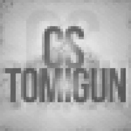 Profile picture for user Tomigun1001