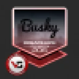 Profile picture for user Busky