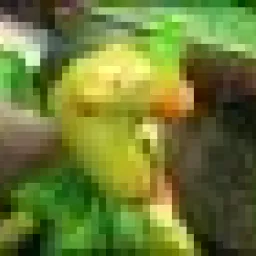 Profile picture for user DuB_