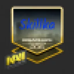 Profile picture for user Skillka