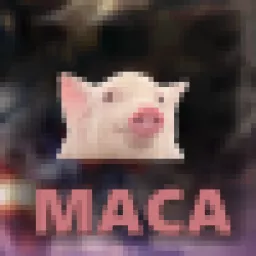 Profile picture for user Maca1337