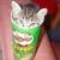 Profile picture for user scenox