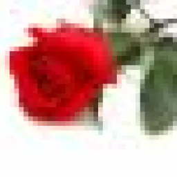 Profile picture for user MITASKO.YO