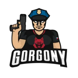 Profile picture for user gorgony