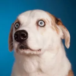 Profile picture for user sTamZ