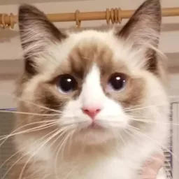 Profile picture for user Dawerko