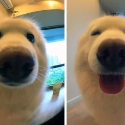 Profile picture for user JohnLord