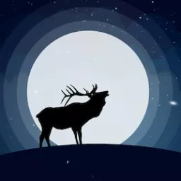 Profile picture for user JustSpoony