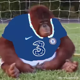 Profile picture for user GepanCSF