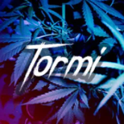 Profile picture for user Tormi_BA