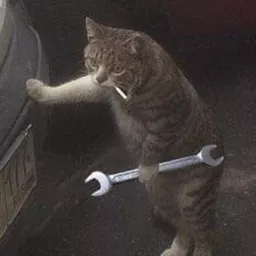 Profile picture for user notemkoo