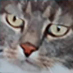 Profile picture for user NoobFrankie