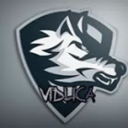 Profile picture for user Vidlica