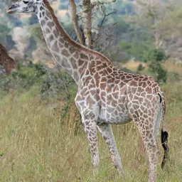 Profile picture for user FYM_NoControl