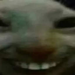 Profile picture for user dany011