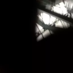 Profile picture for user 【FAKE】 Nick