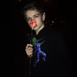 Profile picture for user NXS×Miskin