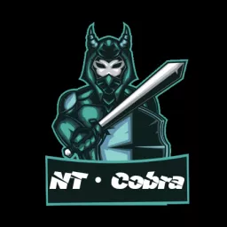 Profile picture for user NT • Cobra