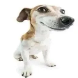 Profile picture for user matnajz