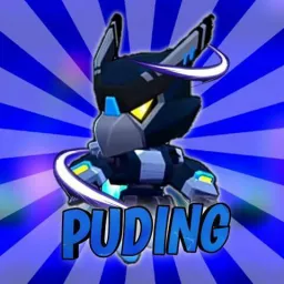 Profile picture for user PuDinG Brawl Stars