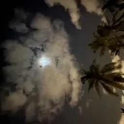 Profile picture for user Deejf