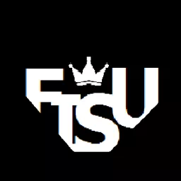 Profile picture for user FiSu