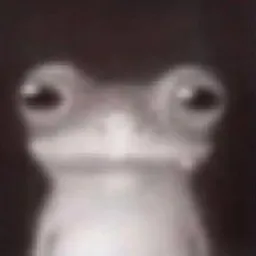 Profile picture for user w0ulisgo