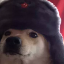 Profile picture for user TeemoTeemocz
