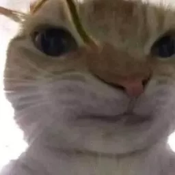 Profile picture for user Kyusang
