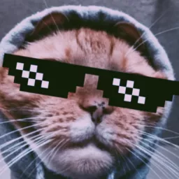 Profile picture for user Hergifn