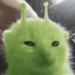Profile picture for user tadeasek