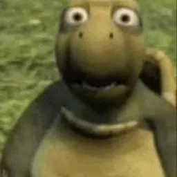 Profile picture for user Maxko_fn