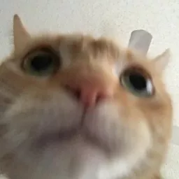 Profile picture for user Sweetzzxd