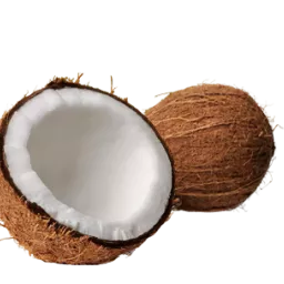 Profile picture for user Kokosaaakk