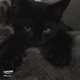 Profile picture for user zugiks