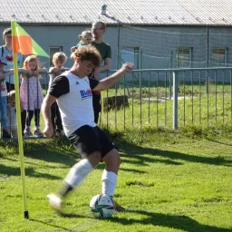 Profile picture for user Hamby