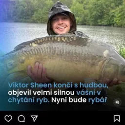 Profile picture for user Viktor_Leen