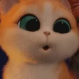Profile picture for user domahry