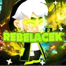 Profile picture for user Rebelacek